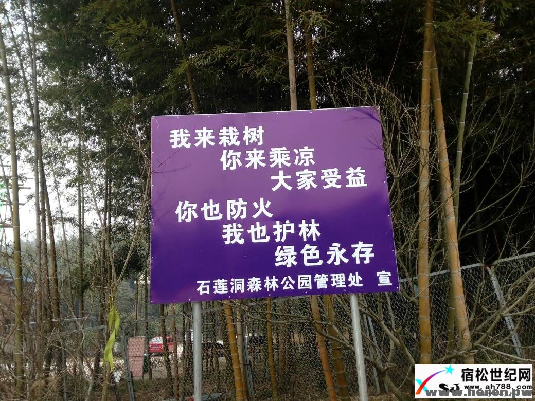 何仁今晨独行马鞍山 (7).jpg